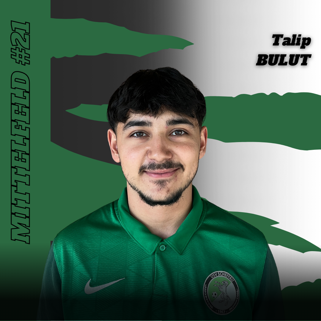 Talip Bulut